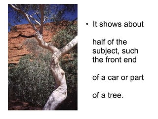 It shows about    half of the    subject, such    the front end    of a car or part    of a tree . 