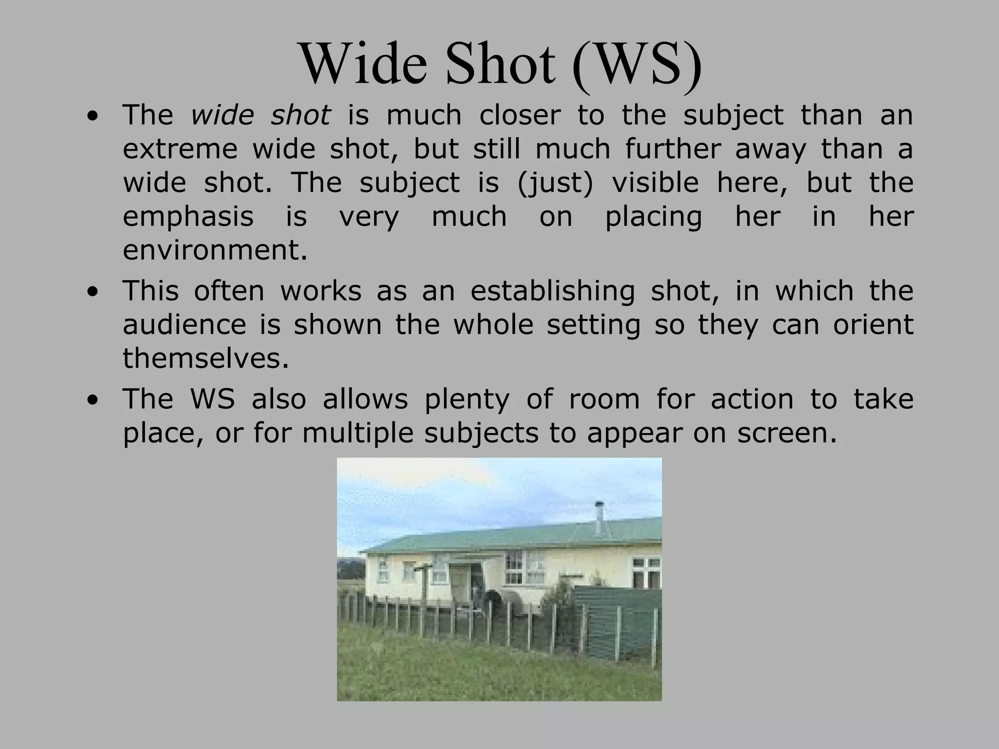 Wide Shot (WS) The wide shot is much closer to the subject than an extreme wide shot, but still much further away than a wide shot. The subject is (just) visible here, but the emphasis is very much on placing her in her environment. This often works as an establishing shot, in which the audience is shown the whole setting so they can orient themselves. The WS also allows plenty of room for action to take place, or for multiple subjects to appear on screen.