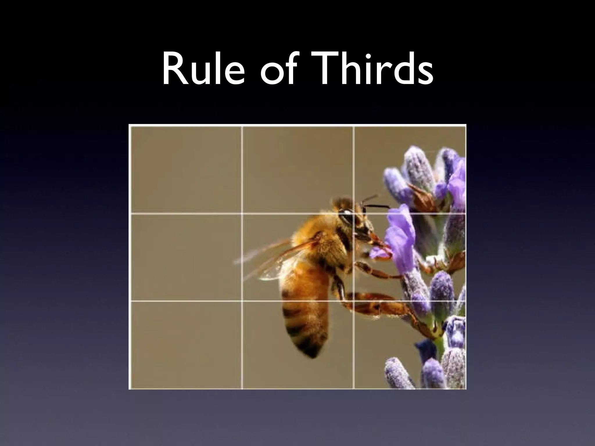 Rule of Thirds