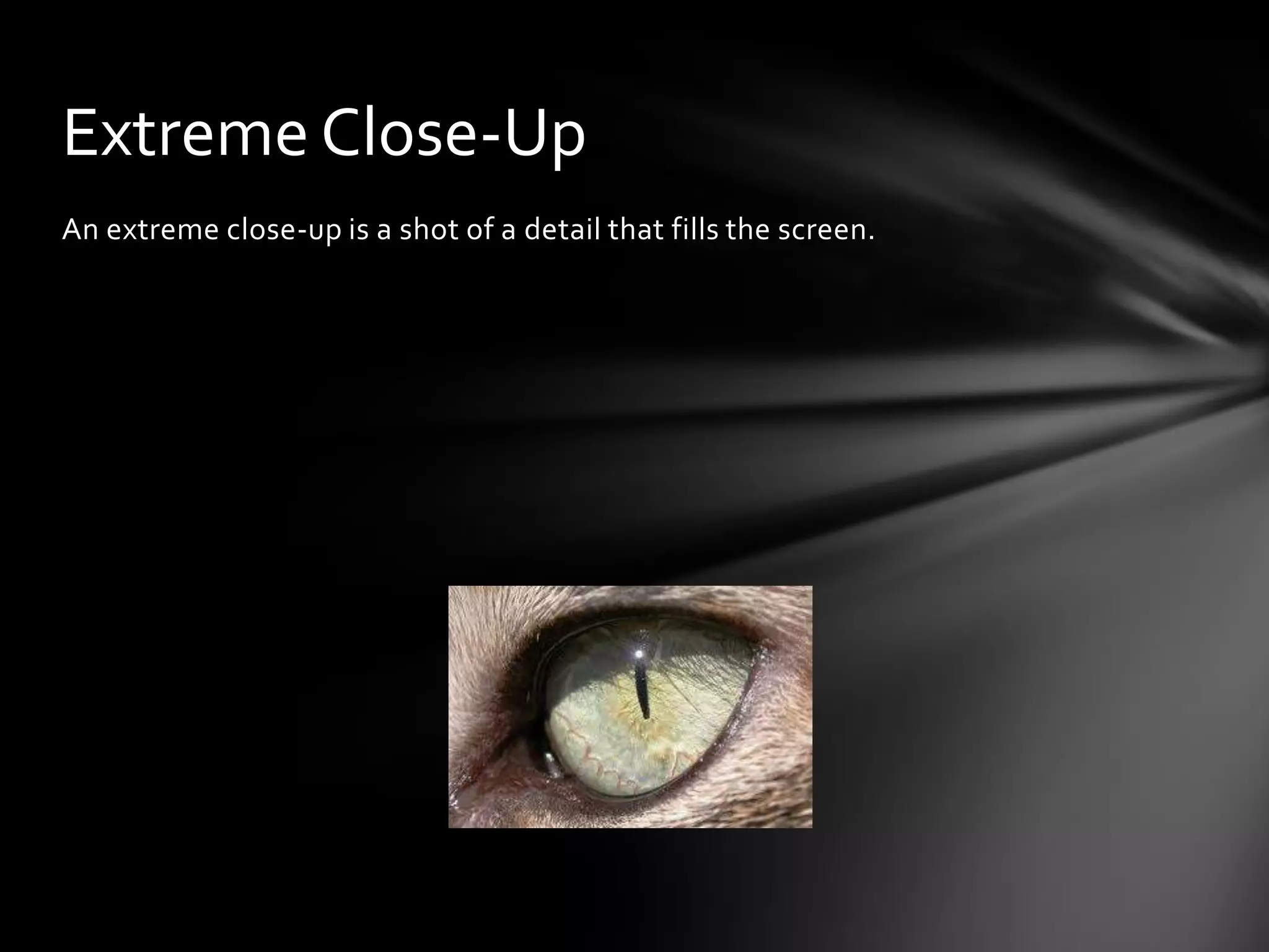 Extreme Close-Up
An extreme close-up is a shot of a detail that fills the screen.
 