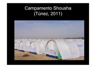 Campamento Shousha
(Túnez, 2011)
 