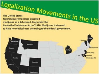 Should Marijuana Be Legalized?