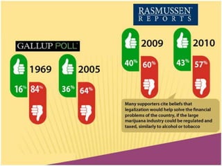 Should Marijuana Be Legalized?