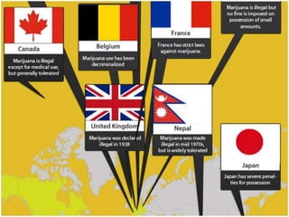 Should Marijuana Be Legalized?