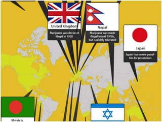 Should Marijuana Be Legalized?