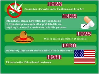 Should Marijuana Be Legalized?