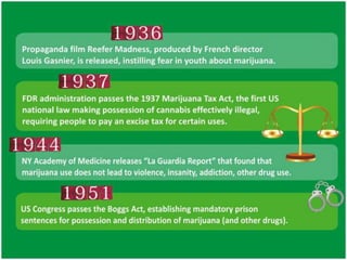 Should Marijuana Be Legalized?