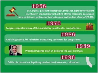 Should Marijuana Be Legalized?