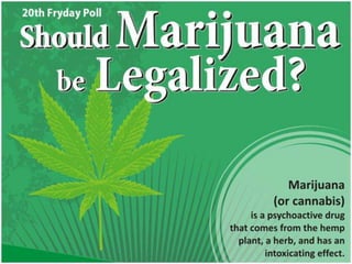 Should Marijuana Be Legalized?