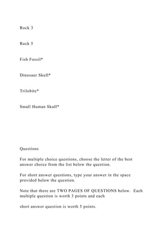 Rock 3
Rock 5
Fish Fossil*
Dinosaur Skull*
Trilobite*
Small Human Skull*
Questions
For multiple choice questions, choose the letter of the best
answer choice from the list below the question.
For short answer questions, type your answer in the space
provided below the question.
Note that there are TWO PAGES OF QUESTIONS below. Each
multiple question is worth 3 points and each
short answer question is worth 5 points.
 