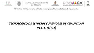 TECNOLÓGICO DE ESTUDIOS SUPERIORES DE CUAUTITLAN
IZCALLI (TESCI)
 