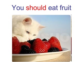 You  should  eat fruit 