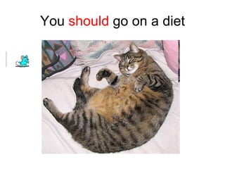 You  should  go on a diet 