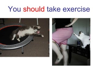 You  should  take exercise 