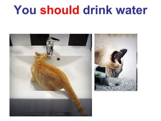 You  should  drink water 