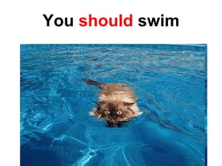 You   should   swim 