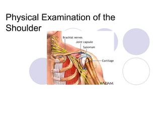 Physical Examination of the
Shoulder
 