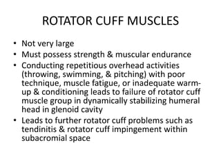 ROTATOR CUFF MUSCLES
• Not very large
• Must possess strength & muscular endurance
• Conducting repetitious overhead activities
(throwing, swimming, & pitching) with poor
technique, muscle fatigue, or inadequate warm-
up & conditioning leads to failure of rotator cuff
muscle group in dynamically stabilizing humeral
head in glenoid cavity
• Leads to further rotator cuff problems such as
tendinitis & rotator cuff impingement within
subacromial space
 