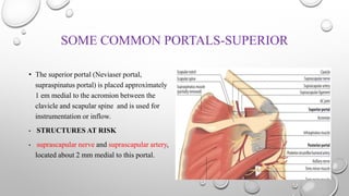 SOME COMMON PORTALS-SUPERIOR
• The superior portal (Neviaser portal,
supraspinatus portal) is placed approximately
1 em medial to the acromion between the
clavicle and scapular spine and is used for
instrumentation or inflow.
• STRUCTURES AT RISK
• suprascapular nerve and suprascapular artery,
located about 2 mm medial to this portal.
 
