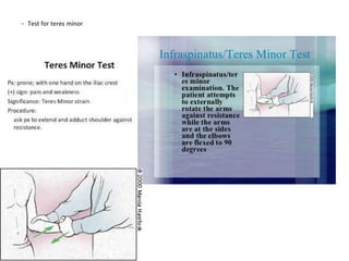 - Test for teres minor