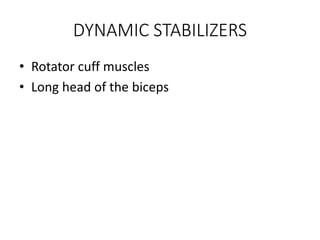 anatomy and biomechanics of Shoulder joint | PPT
