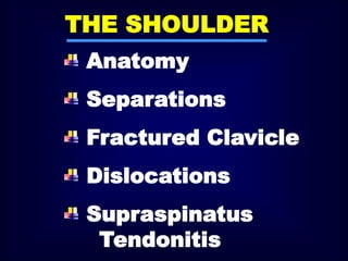THE SHOULDER
Anatomy
Separations
Fractured Clavicle
Dislocations
Supraspinatus
Tendonitis
 