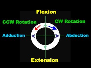 Flexion
Adduction Abduction
Extension
CW Rotation
CCW Rotation
 