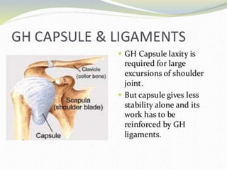 Shoulder Commplex Anatomy and Biomechanics of shoulder complex | PPTX