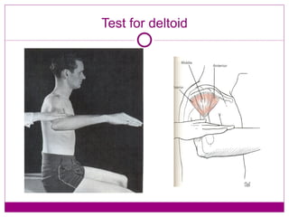 Delikan Test Shoulder & Arm 1 | PPT