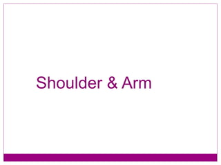 Shoulder & Arm 