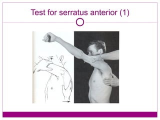 Test for serratus anterior (1) 
