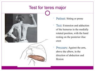 Test for teres major Patient:   Sitting or prone Test:   Extension and adduction of the humerus in the medially rotated position, with the hand resting on the posterior iliac crest Pressure:   Against the arm, above the elbow, in the direction of abduction and flexion 