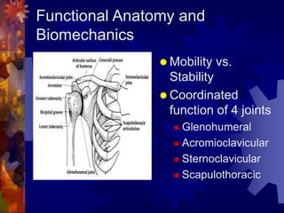 Shoulder Joint Function Shoulder rehab | PPT