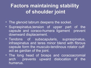 Factors maintaining stability
of shoulder joint
• The glenoid labrum deepens the socket.
• Supraspinatus,tension of upper part of the
capsule and coraco-humera ligament prevent
downward displacement.
• Tendons of subscapularis, supraspinatus,
infraspinatus and teres minor blend with fibrous
capsule form the musculo-tendinous rotator cuff
act as gardian of the joint.
• The long head of biceps and coracoacromial
arch prevents upward dislocation of the
humerus.
 