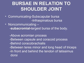 BURSAE IN RELATION TO
SHOULDER JOINT
• Communicating-Subscapular bursa
-Infraspinatous bursa
• Noncommunicating –
-subacromial-largest bursa of the body.
-Above acromian process
-Between capsule and coracoid process
-Behind coracobrachialis
-Between teres minor and long head of triceps
-In front and behind the tendon of latissimus
dorsi
 
