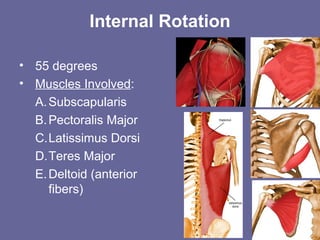 Internal Rotation
• 55 degrees
• Muscles Involved:
A.Subscapularis
B.Pectoralis Major
C.Latissimus Dorsi
D.Teres Major
E.Deltoid (anterior
fibers)
 