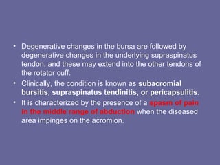 • Degenerative changes in the bursa are followed by
degenerative changes in the underlying supraspinatus
tendon, and these may extend into the other tendons of
the rotator cuff.
• Clinically, the condition is known as subacromial
bursitis, supraspinatus tendinitis, or pericapsulitis.
• It is characterized by the presence of a spasm of pain
in the middle range of abduction when the diseased
area impinges on the acromion.
 