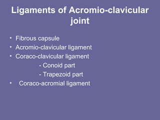 Ligaments of Acromio-clavicular
joint
• Fibrous capsule
• Acromio-clavicular ligament
• Coraco-clavicular ligament
- Conoid part
- Trapezoid part
• Coraco-acromial ligament
 