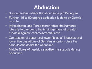 External Rotation
• 80-90 degrees
• Muscles Involved:
A.Infraspinatus
B.Teres Minor
C.Deltoid(posterior
fibres)
 