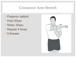 Crossover Arm Stretch
• Posterior deltoid
• Hold 30sec
• Relax 30sec
• Repeat 4 times
• 5-6/week
 