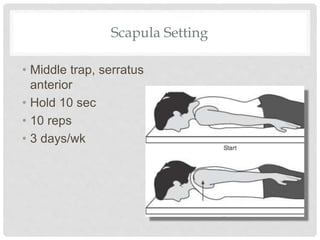 Scapula Setting
• Middle trap, serratus
anterior
• Hold 10 sec
• 10 reps
• 3 days/wk
 
