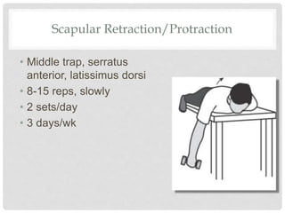 Scapular Retraction/Protraction
• Middle trap, serratus
anterior, latissimus dorsi
• 8-15 reps, slowly
• 2 sets/day
• 3 days/wk
 