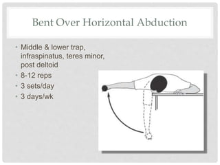 Bent Over Horizontal Abduction
• Middle & lower trap,
infraspinatus, teres minor,
post deltoid
• 8-12 reps
• 3 sets/day
• 3 days/wk
 