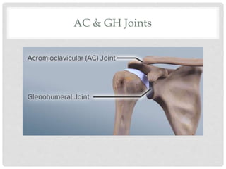 AC & GH Joints
 