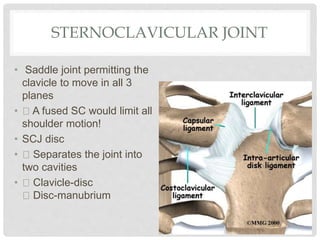 STERNOCLAVICULAR JOINT
• Saddle joint permitting the
clavicle to move in all 3
planes
• A fused SC would limit all
shoulder motion!
• SCJ disc
• Separates the joint into
two cavities
• Clavicle-disc
Disc-manubrium
 