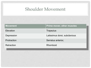 Shoulder Movement
Movement Prime mover, other muscles
Elevation Trapezius
Depression Latissimus dorsi, subclavious
Protraction Serratus anterior,
Retraction Rhomboid
 