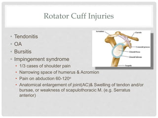 Rotator Cuff Injuries
• Tendonitis
• OA
• Bursitis
• Impingement syndrome
• 1/3 cases of shoulder pain
• Narrowing space of humerus & Acromion
• Pain on abduction 60-120o
• Anatomical enlargement of joint(AC)& Swelling of tendon and/or
bursae, or weakness of scapulothoracic M. (e.g. Serratus
anterior)
 