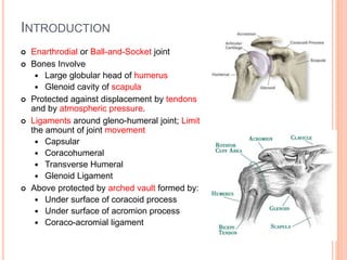 INTRODUCTION
 Enarthrodial or Ball-and-Socket joint
 Bones Involve
 Large globular head of humerus
 Glenoid cavity of scapula
 Protected against displacement by tendons
and by atmospheric pressure.
 Ligaments around gleno-humeral joint; Limit
the amount of joint movement
 Capsular
 Coracohumeral
 Transverse Humeral
 Glenoid Ligament
 Above protected by arched vault formed by:
 Under surface of coracoid process
 Under surface of acromion process
 Coraco-acromial ligament
 