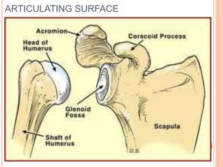 ARTICULATING SURFACE
 