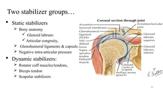 Group Stabilizer Shoulder & Arm anatomy & surgical approach.pptx